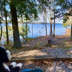 Vagabond Tales-  Alabama🌞 Sunshine