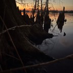 A Nightmare in the Black Lagoon