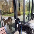 Vagabond Tales- Mistaken Identity