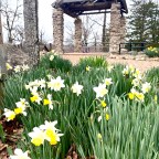Vagabond Tales-  Spring In Branson