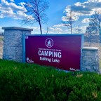 Vagabond Tales-  Bullfrogs and Crazy Cars