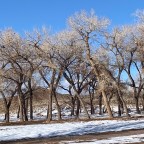 Vagabond Tales-Dry Camping in Cottonwood