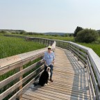 Vagabond Tales – Leave It to Beaver